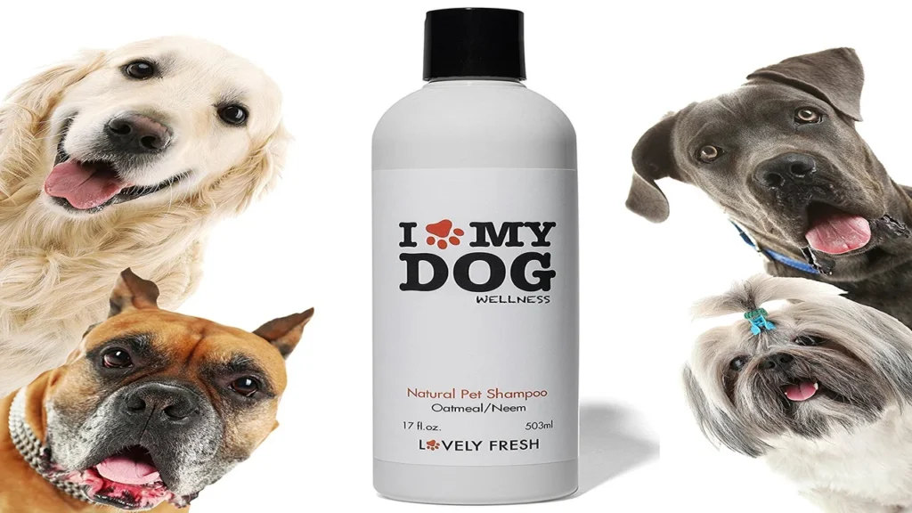 Best Shot Shampoo for Dogs