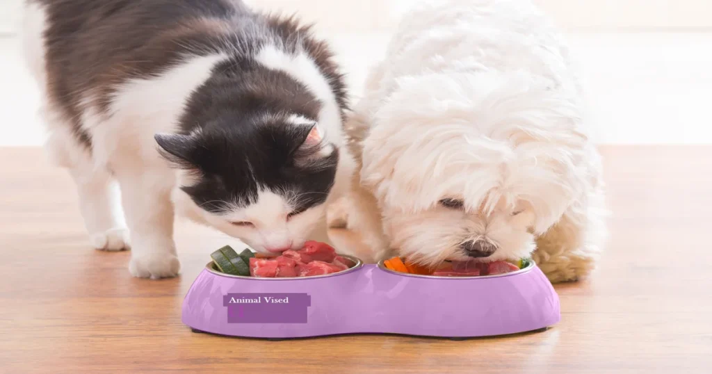 How To Feed Raw Dog Food To Cats