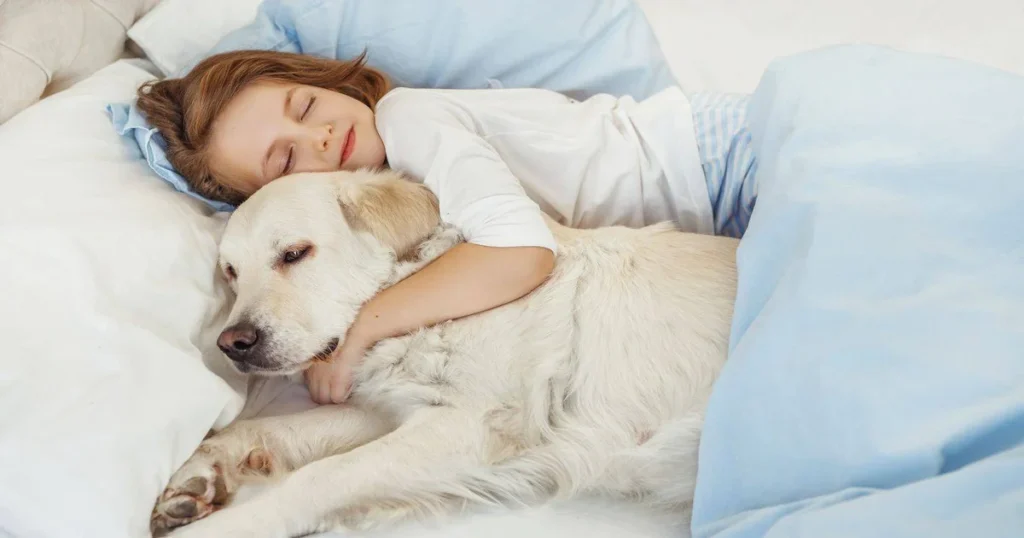 How many hours sleep do dogs need