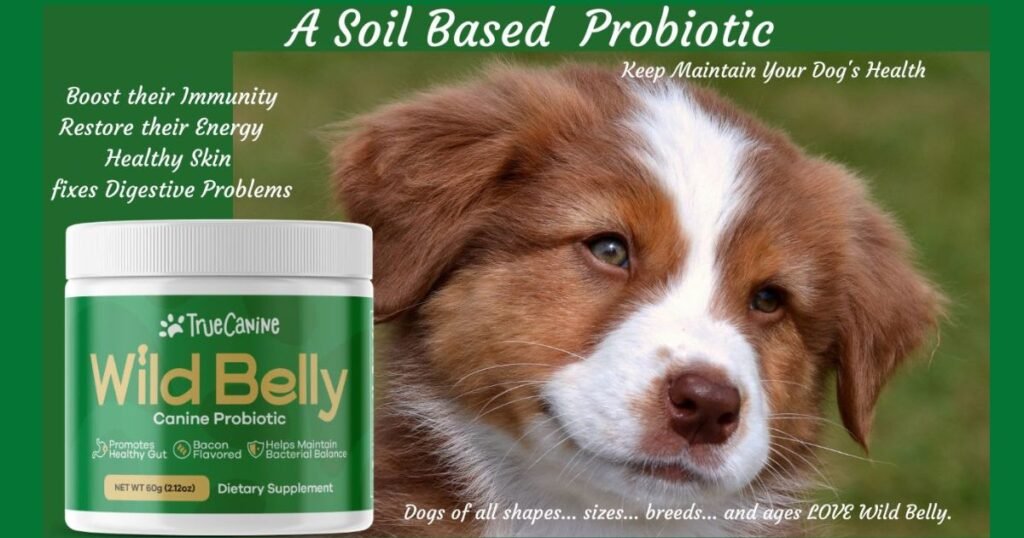fur belly probiotics for dogs