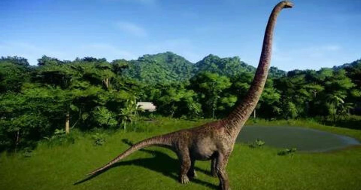 Long-Necked Dinosaurs