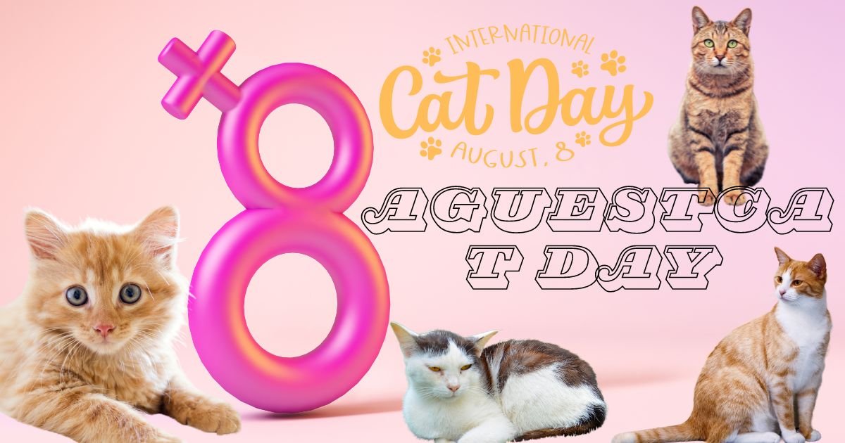 8 Aguest Cat Day 2023