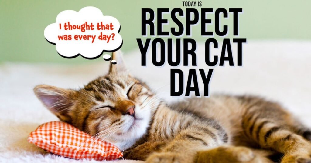 Celebrate 'Respect Your Cat Day'