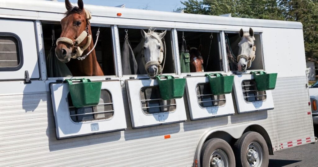 Horse Trailer World - Your Destination for Equine Transportation