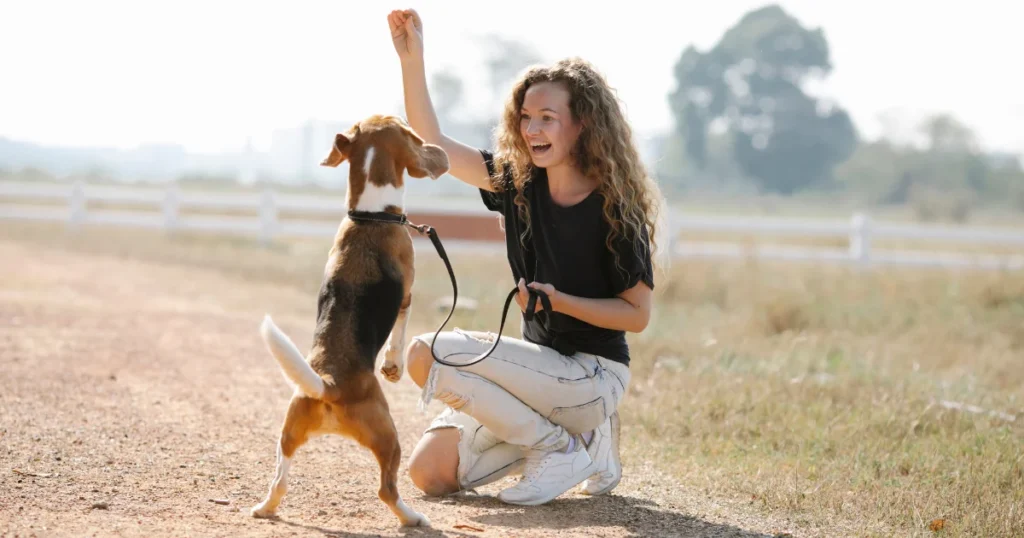How to Train Your Dog Tips and Tricks for a Well-Behaved Furry Friend