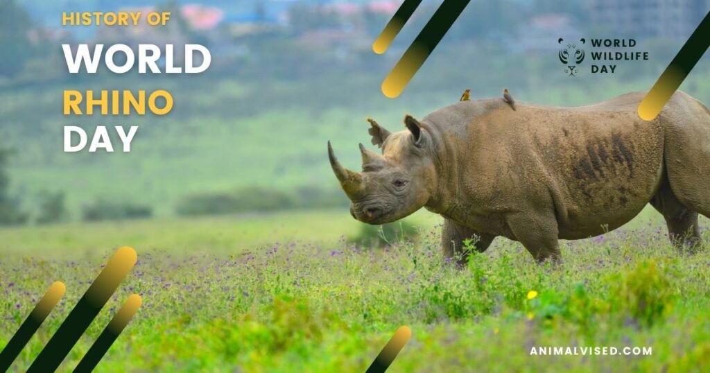 History of World Rhino Day