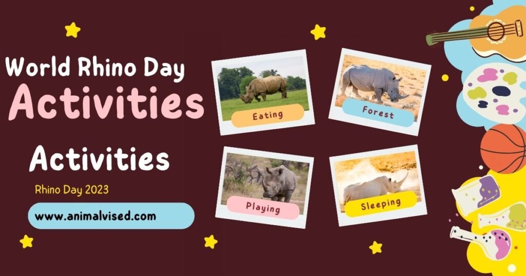 World Rhino Day Activities