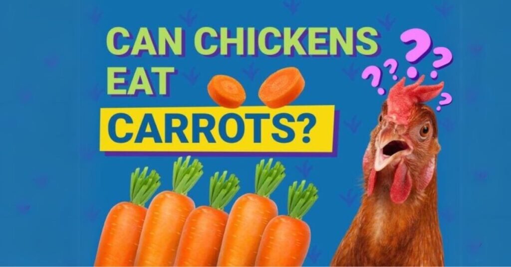 Can Chickens Eat Carrots Vet Reviewed Health & Nutrition Guidelines