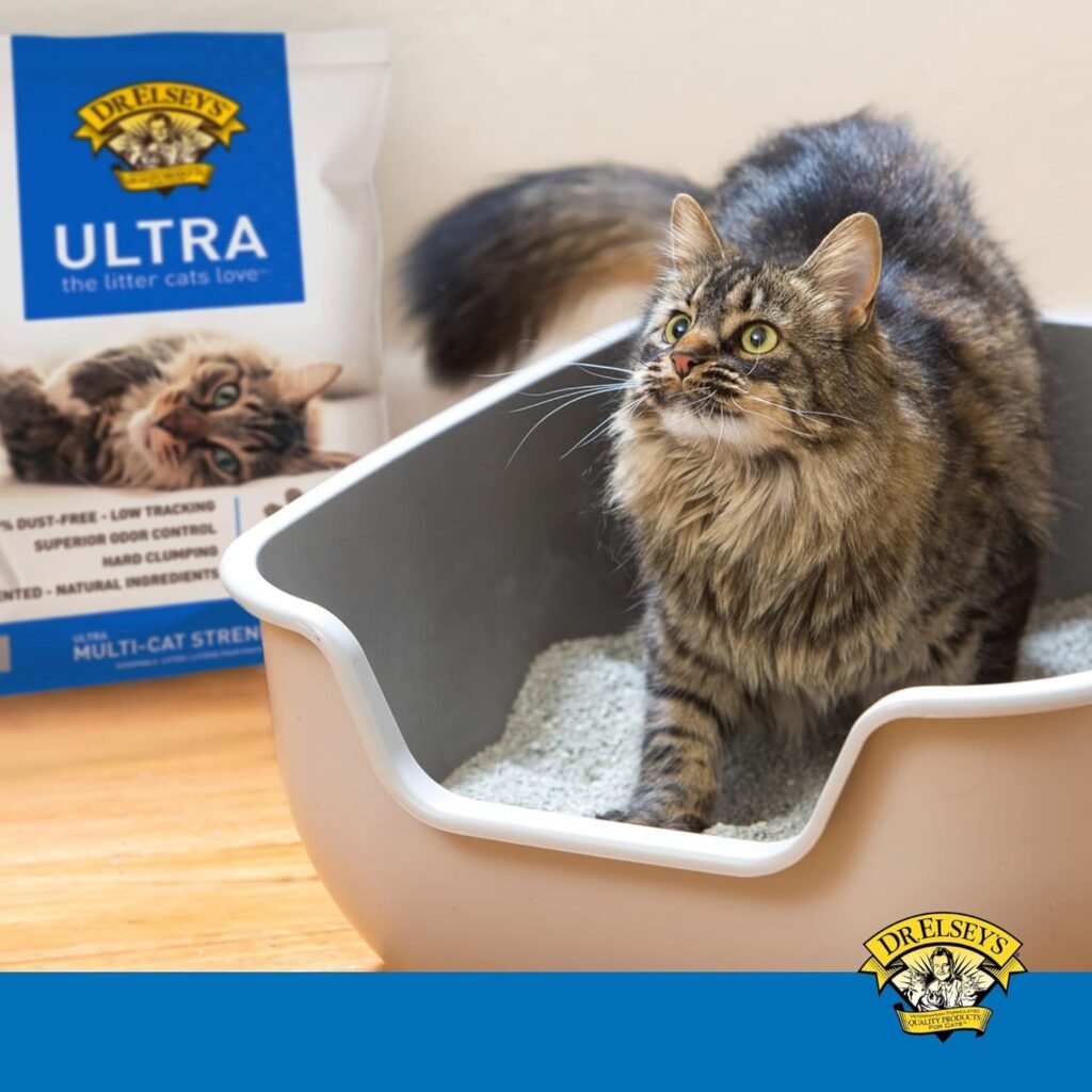 Dr. Elsey's Cat Litter - the litter cats love