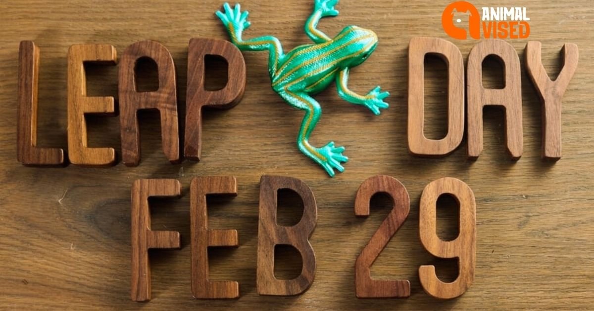 The Lowdown On Leap Year