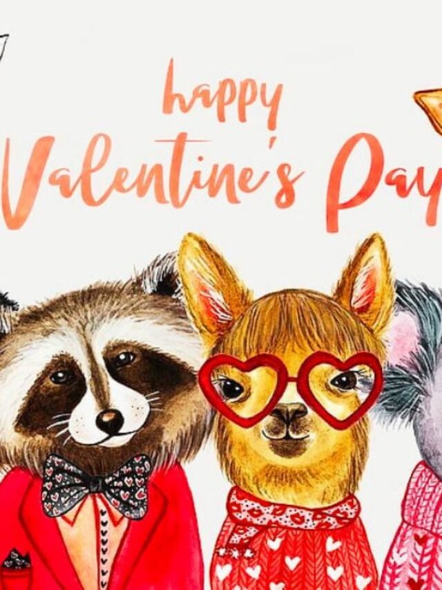 Animal Valentine Day People to Celebrate What Do Animals Love? | Celebrating Valentine’s Day with Your Furry Friends | Animals Associated with Love | Animal Vised