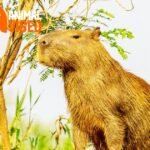Capybara Celebrate Day 2024