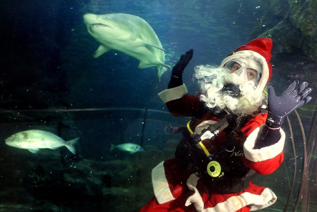 Scuba-Diving-Santa-Claus-and-Sand-Tiger-Shark-at-Deep-Sea-World-1024x683