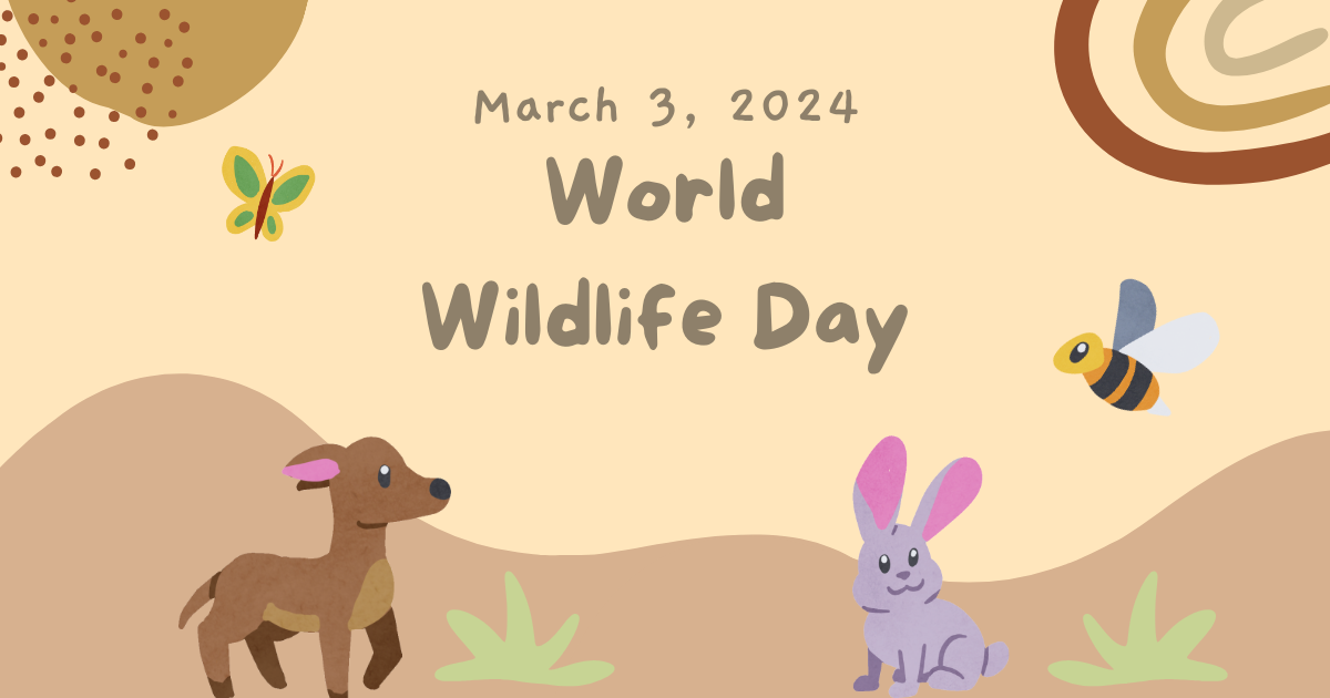 World Wildlife Day 2024 on Animal Vised