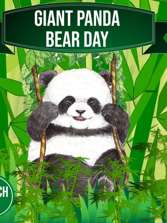 giant-panda-day,-panda-bear-design-template-54fca25988cccaaf7bcade4919162fac_screen