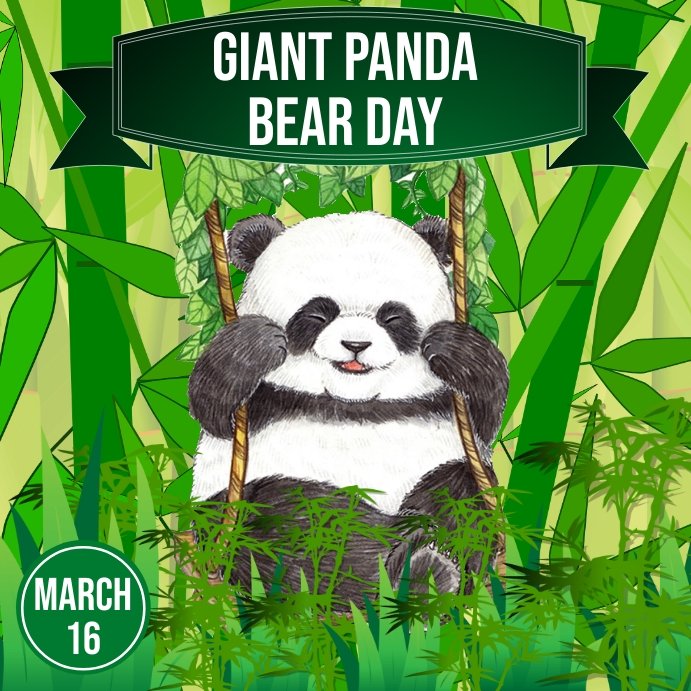 giant-panda-day,-panda-bear-design-template-54fca25988cccaaf7bcade4919162fac_screen