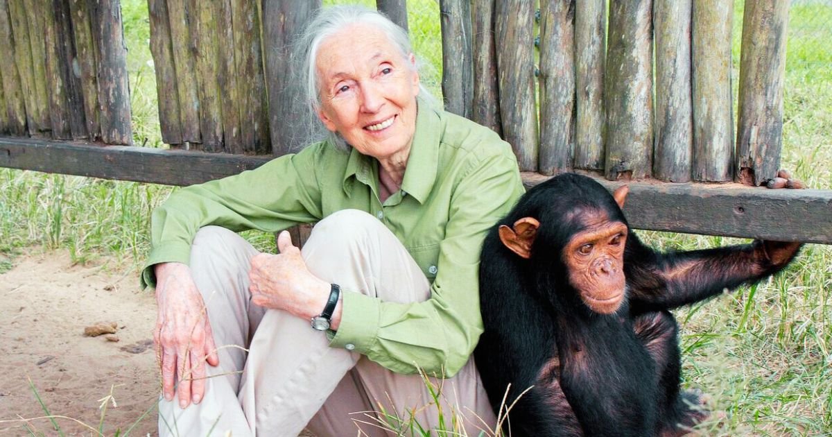 Jane Goodall to Headline