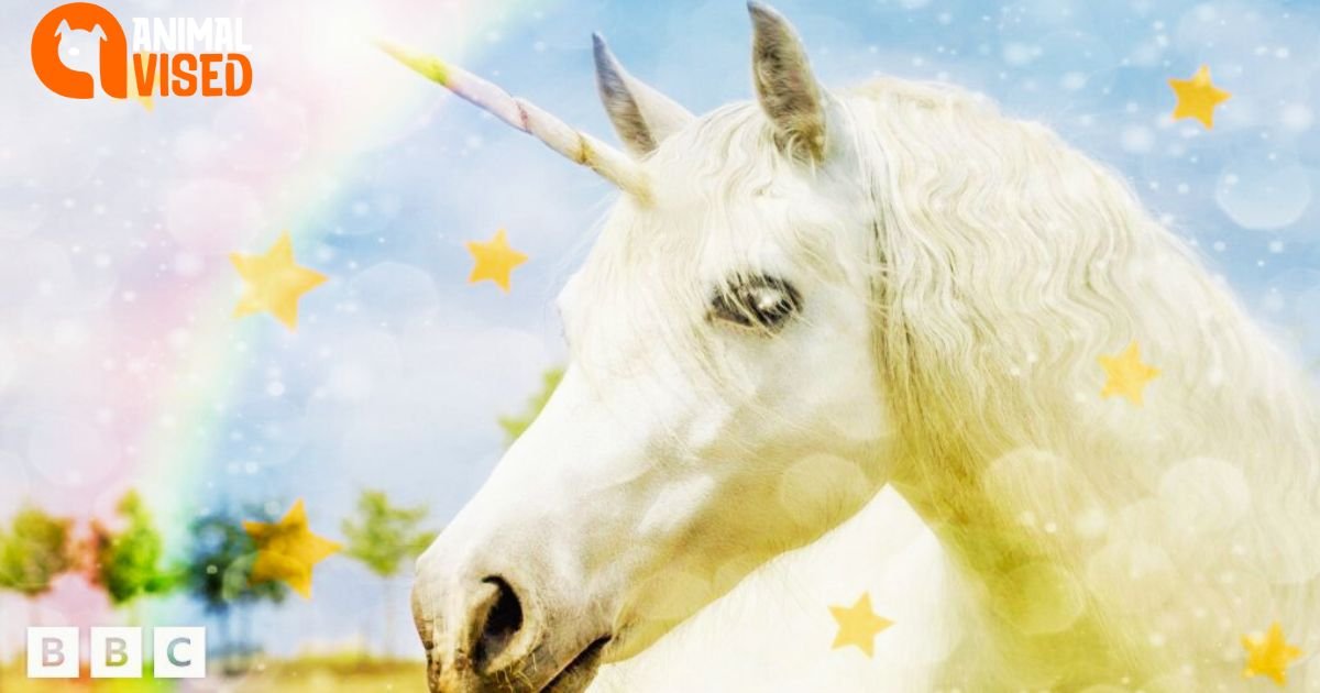 National Unicorn is really here