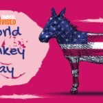 World Donkey Day 2024
