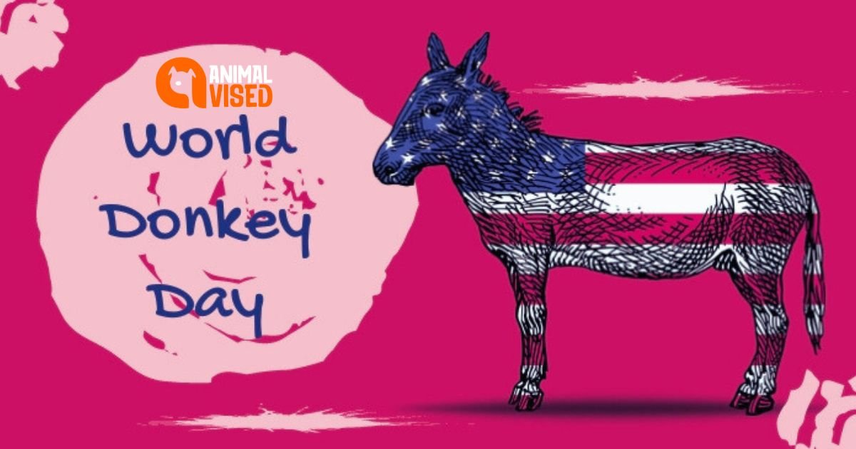 World Donkey Day 2024