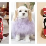 Holiday Sweaters for Dog