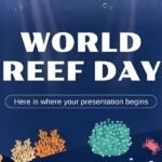 World Reef Day 2024