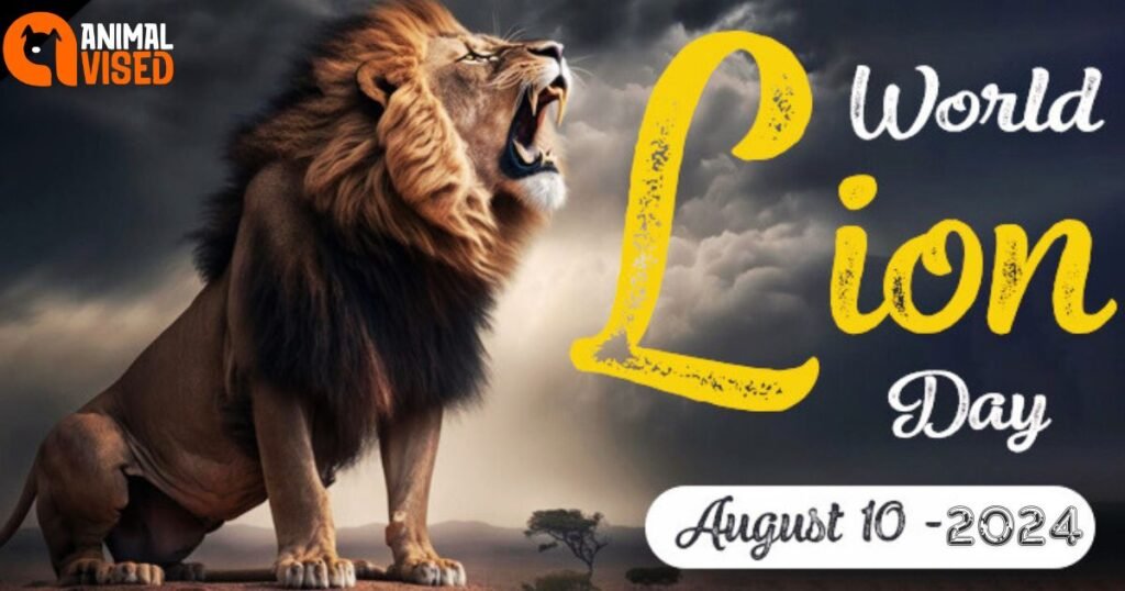 World Lion Day World Lion Day