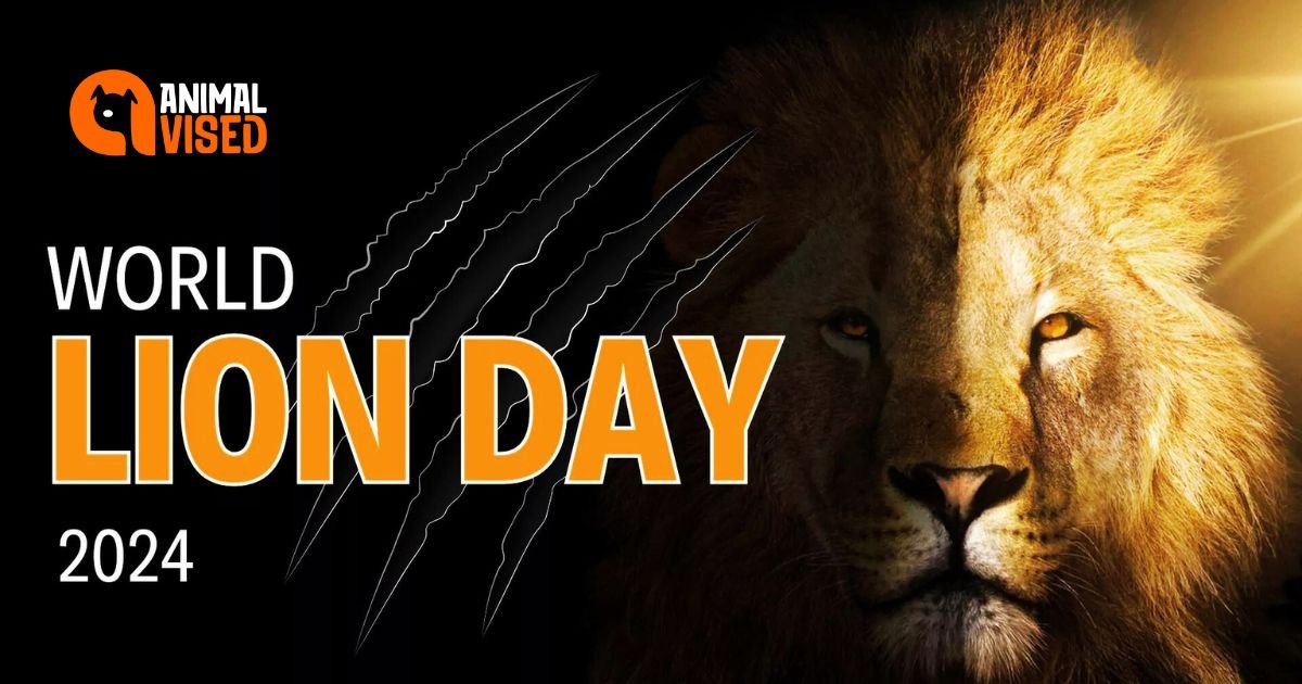 World Lion Day