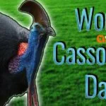 World Cassowary Day