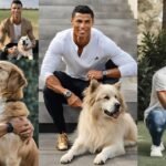 Cristiano Ronaldo Pets Lover