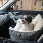 Dog Pet Booster Seat for Car Truck and SUV