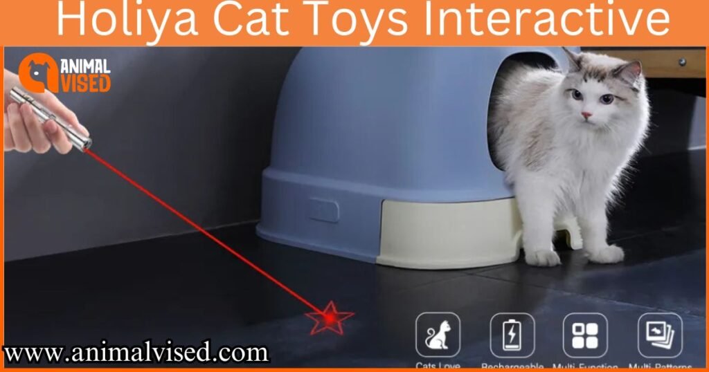 Holiya Cat Toys Interactive