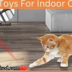 Laser Cat Toys for Indoor Cats