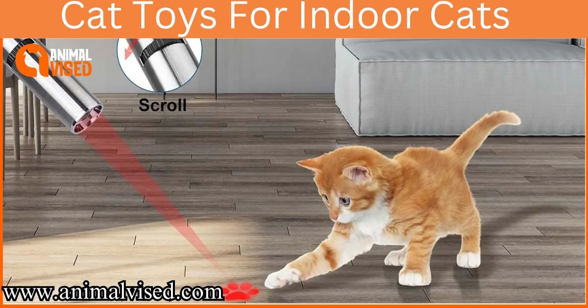 Laser Cat Toys for Indoor Cats