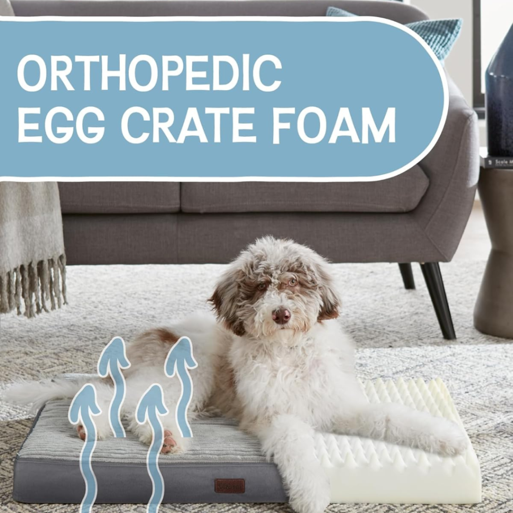 ORTHOPEDIC EGG CRATE FORM