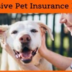 Progressive Pet Insurance Reviews