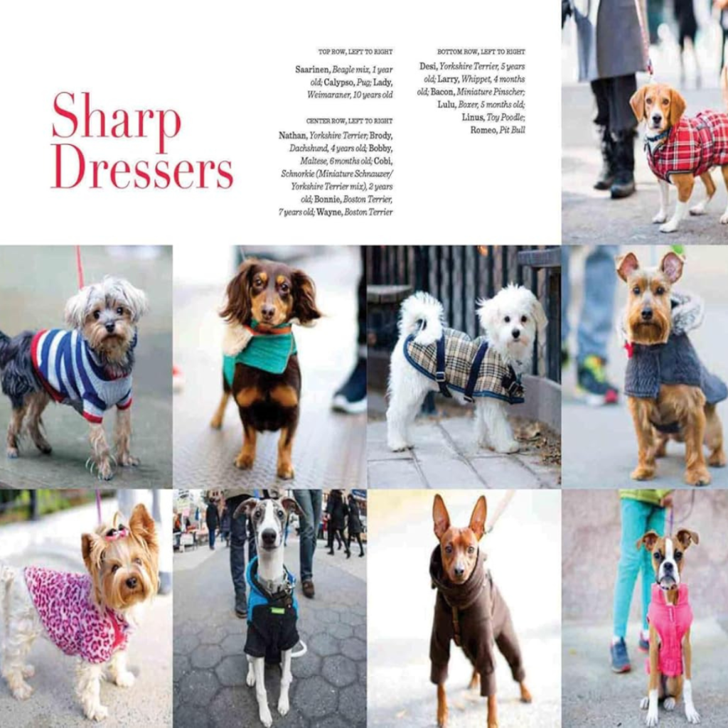 Sharp Dressers