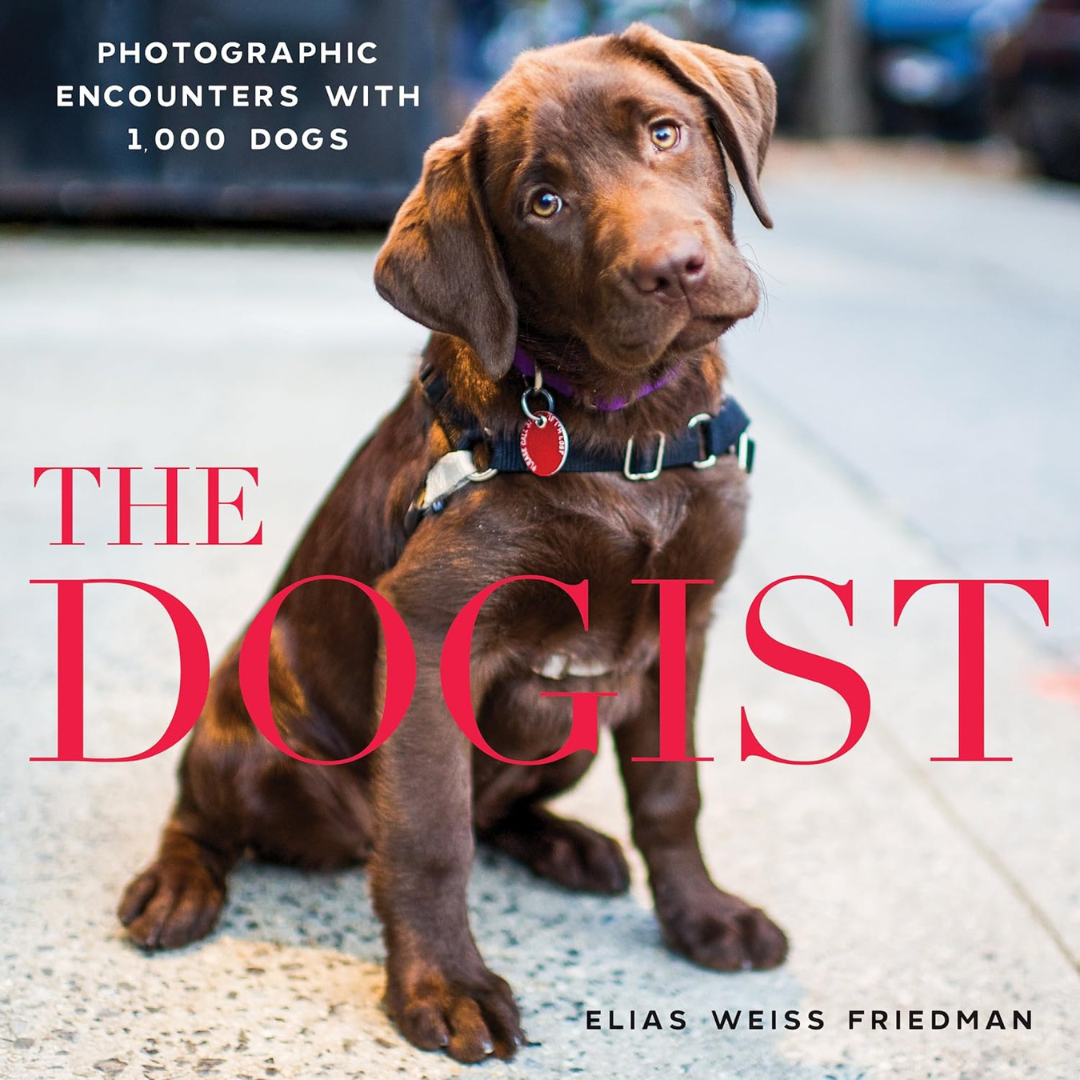 The Dogist Photographic Encounters