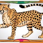 Cheetah Coloring Book