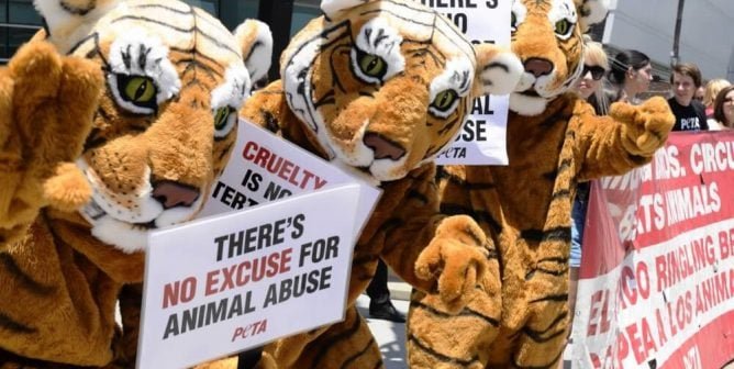 Costumed PETA Tigers protest animal circus acts