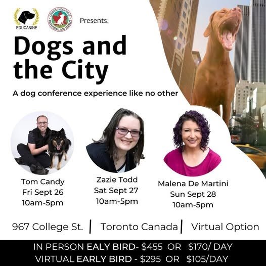 Registration for the Dogs and the City Conference is Open with Early Bird Pricing