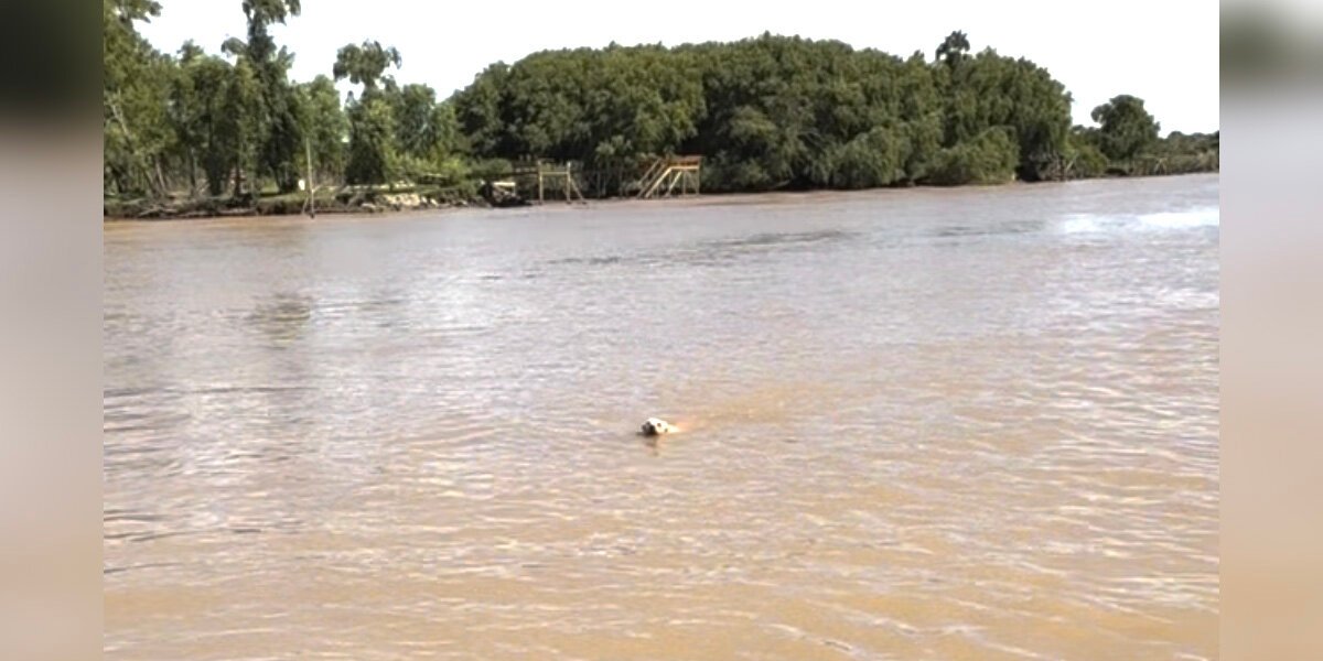 Boaters Drop Everything After Spotting Someone Swimming Toward Them