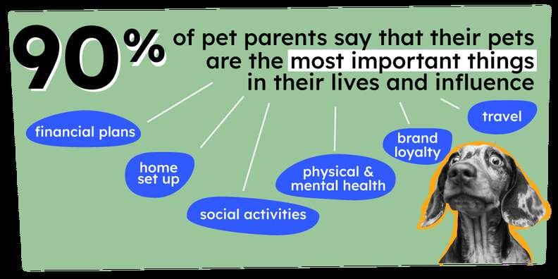 Infographic