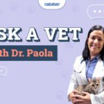 Catster_Ask Dr Paola Featured Image_v1-2_Nov 12 2024