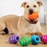 Bee the Change: Dog Toys That Help Bees