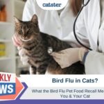 Bird Flu in Cats - Pet Food Recall