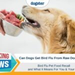 Bird Flu in Dogs - Pet Food Recall