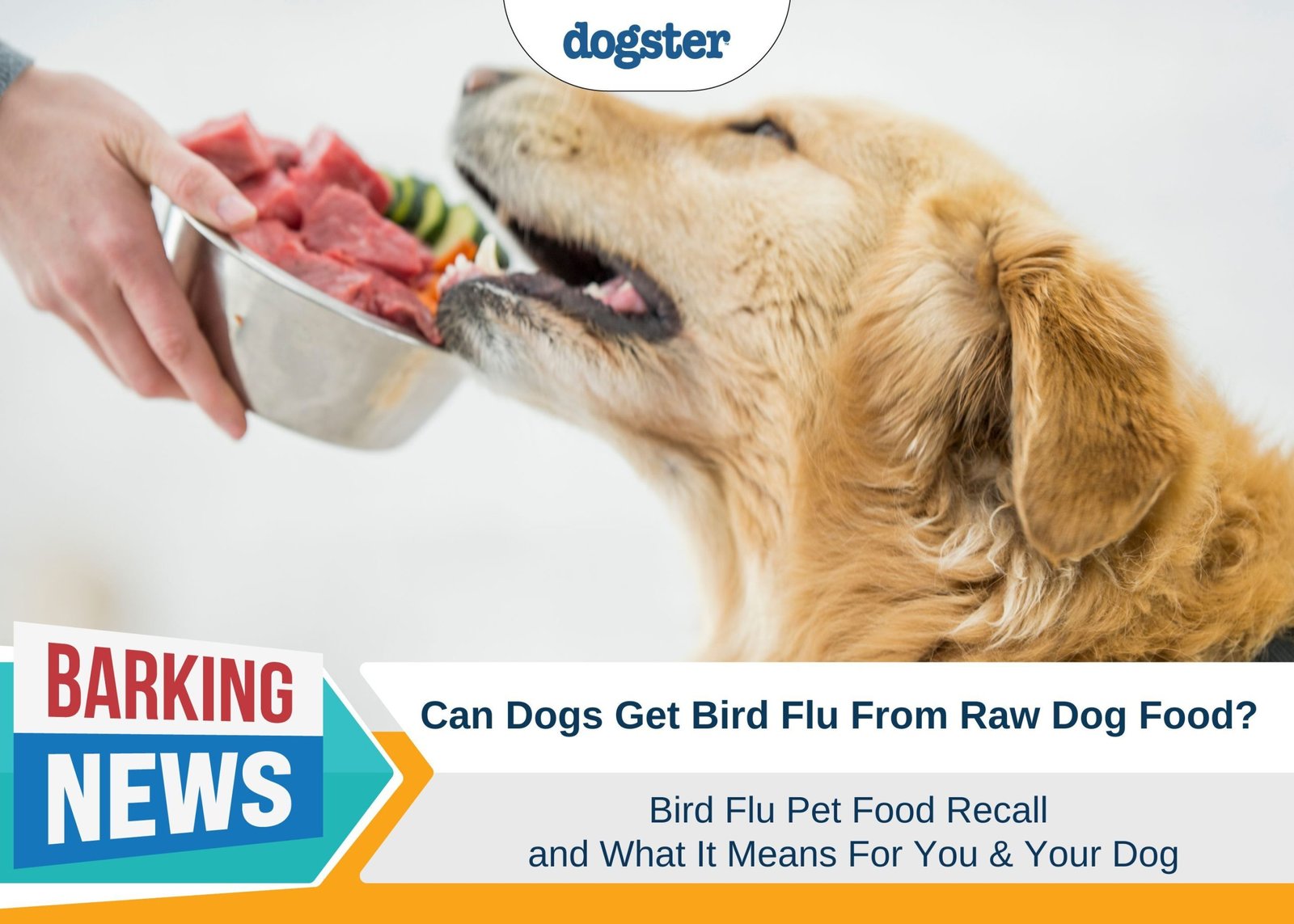 Bird Flu in Dogs - Pet Food Recall