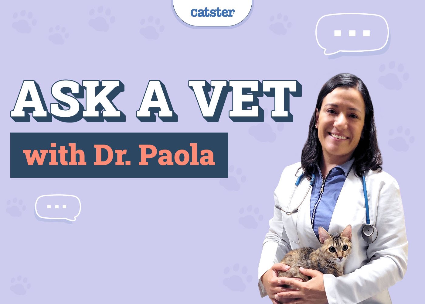 Catster_Ask Dr Paola Featured Image_v1-2_Nov 12 2024