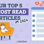 Catster_The 5 Most Read Articles